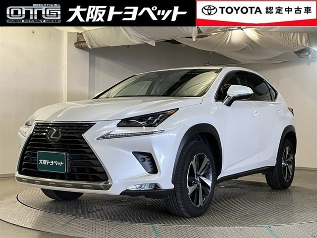 NX300 バージョンL