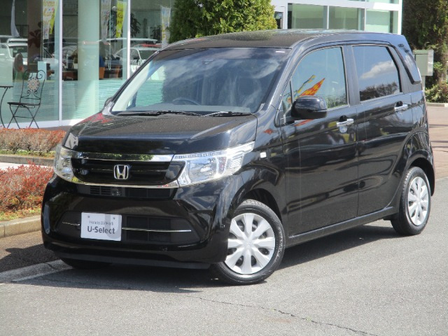 N-WGNG