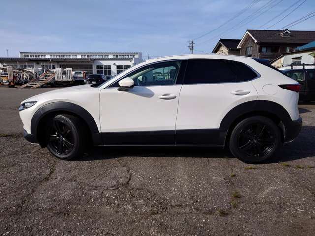 CX-301.8 XD Lパッケージ