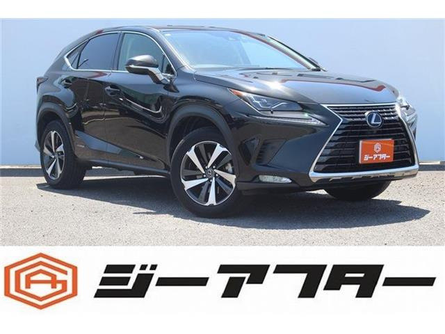 NX300h バージョンL