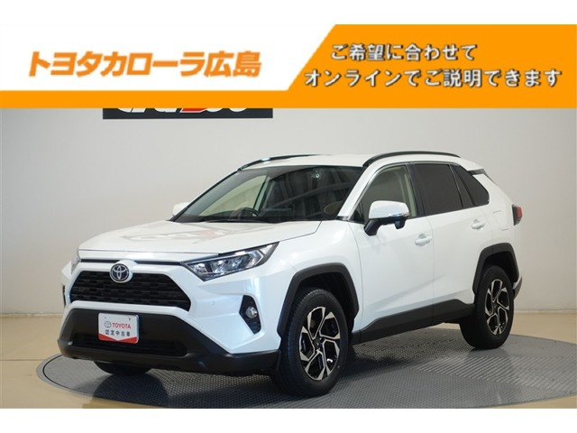 RAV42.0 X