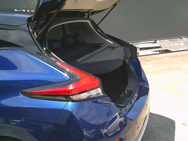リーフAUTECH