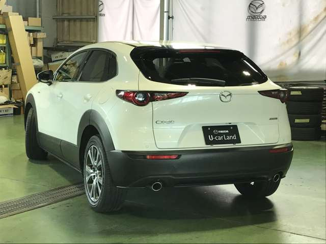 CX-302.0 20S 100周年特別記念車