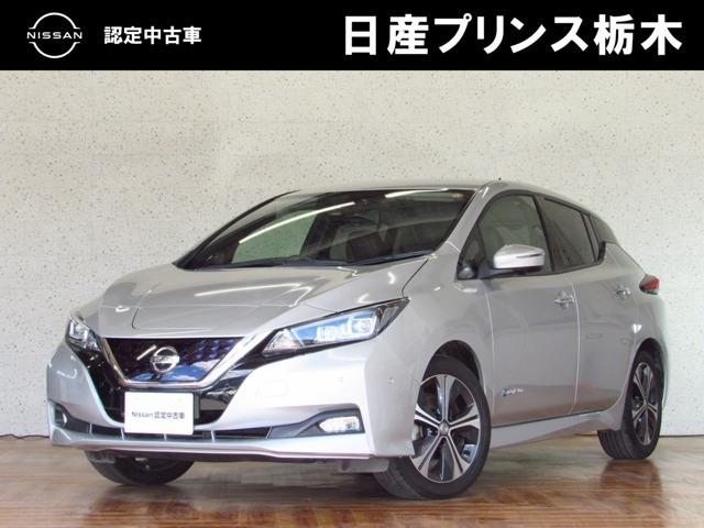 リーフG