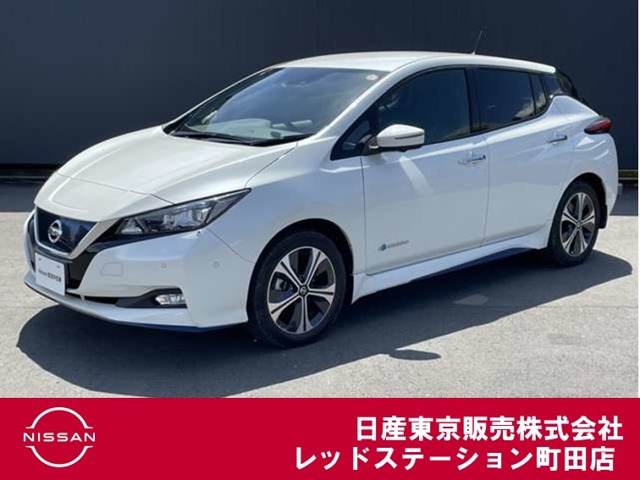 リーフe+ G