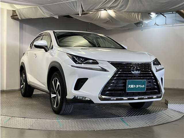 NX300 バージョンL