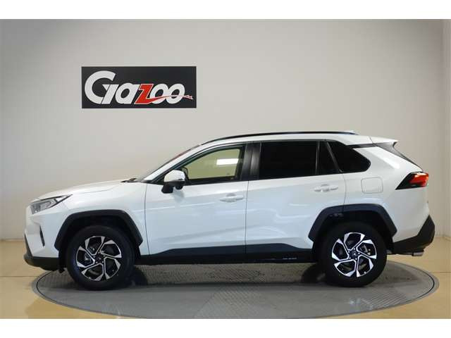 RAV42.0 X