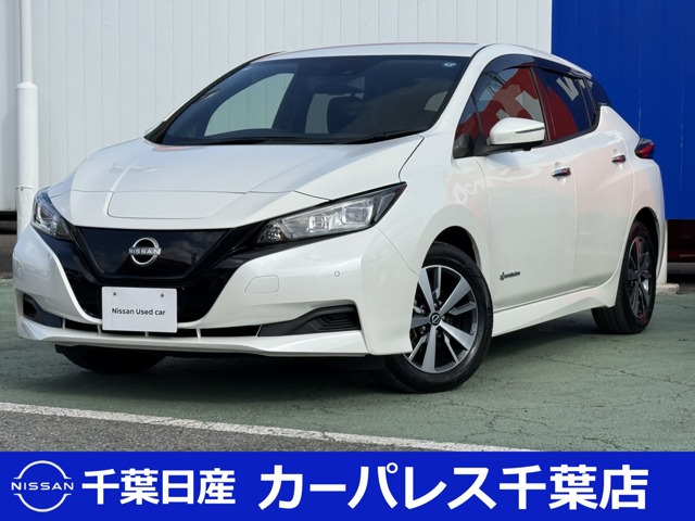 リーフX