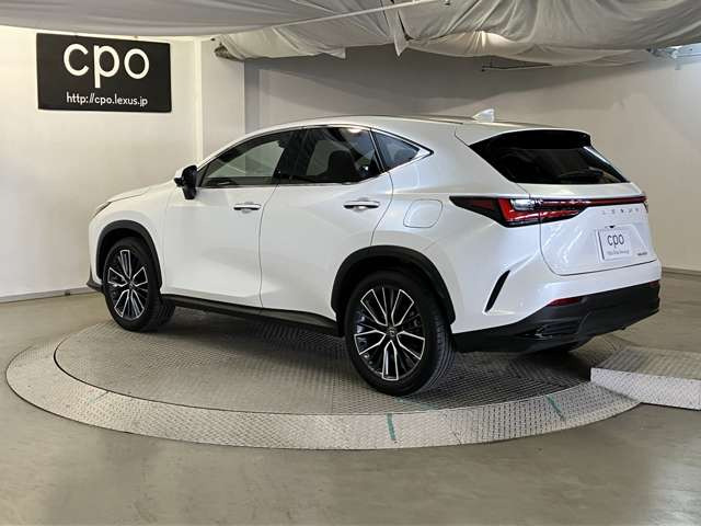 NX250 バージョンL