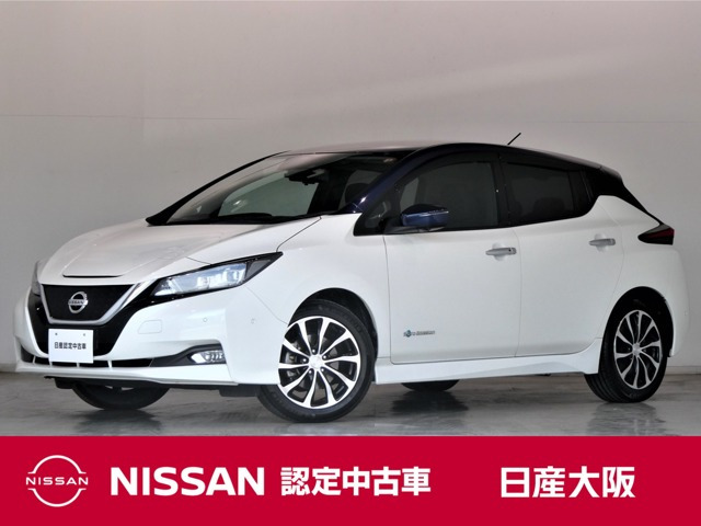 リーフG