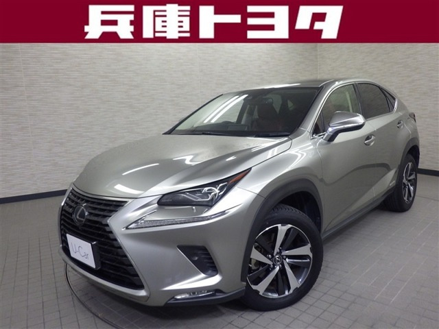 NX300h バージョンL