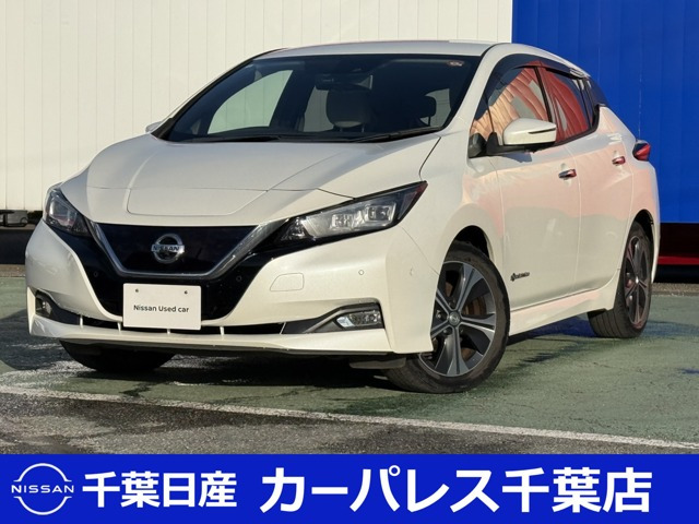 リーフG