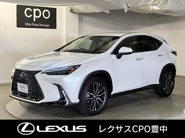 NX250 バージョンL