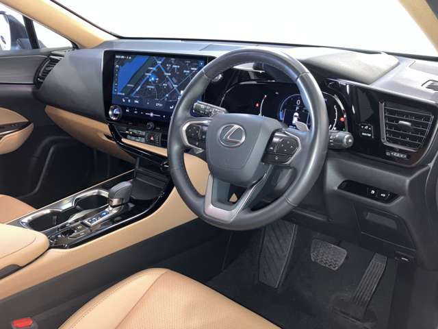 NX250 バージョンL