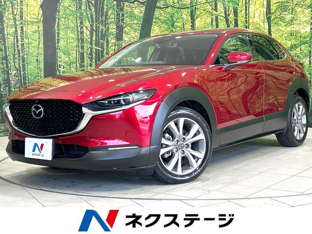 CX-301.8 XD Lパッケージ
