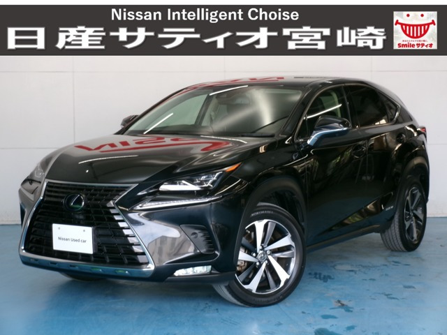 NX300h バージョンL 4WD