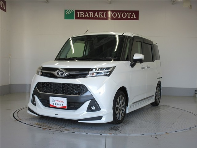 タンク1.0 カスタム G-T