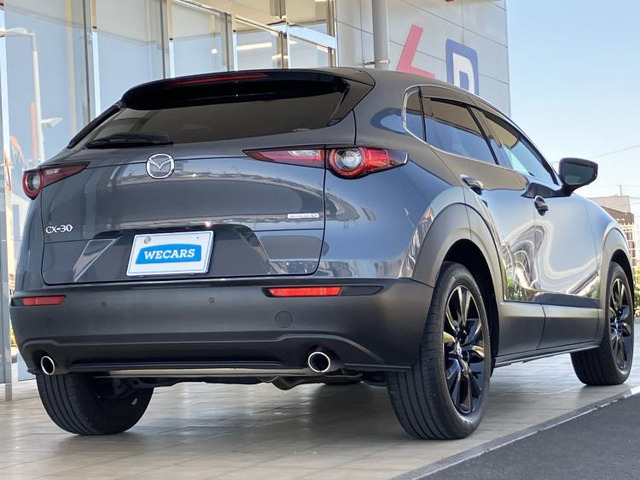 CX-301.8 XD ブラックトーンエディション