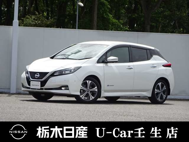 リーフG