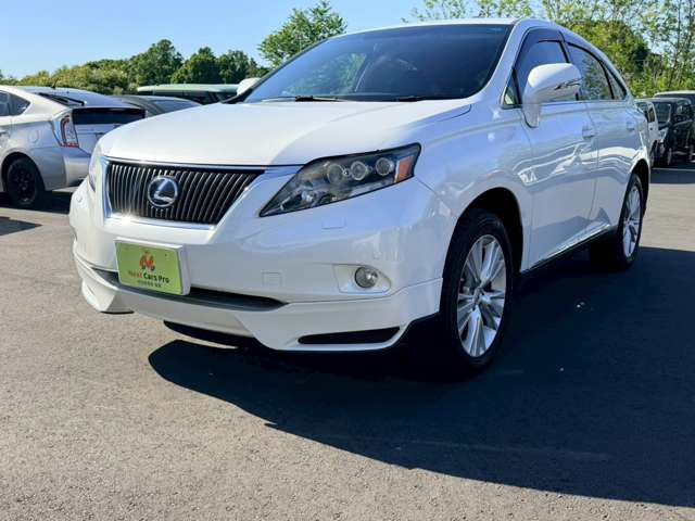 �����钆��蓖�X�̂��Ԃ������������ɂ��肪�Ƃ��������܂��B���̓x�Ɣ̃T�C�g�I�[�g�T�[�o�[������7.5���В��̌܂��o�i�X200�ЂɑI�o����܂����B�S�Ԃ����������i�ɂĂ��Љ�v���܂��B