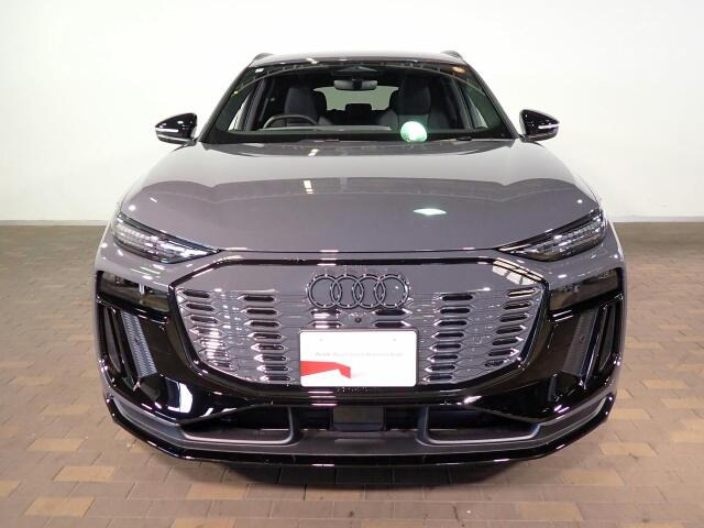 Q6 e-tronクワトロ アドバンスト 4WD