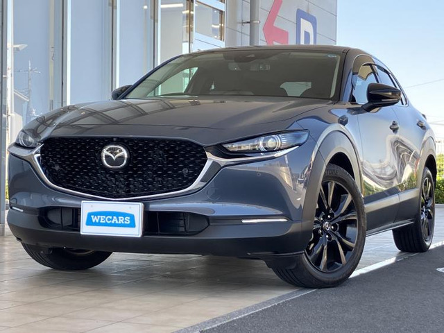 CX-301.8 XD ブラックトーンエディション