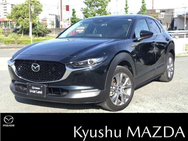 CX-301.8 XD Sパッケージ