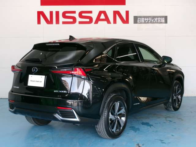 NX300h バージョンL 4WD