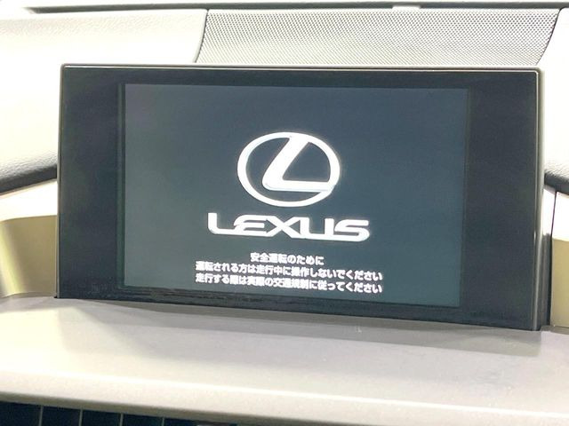 NX300h バージョンL