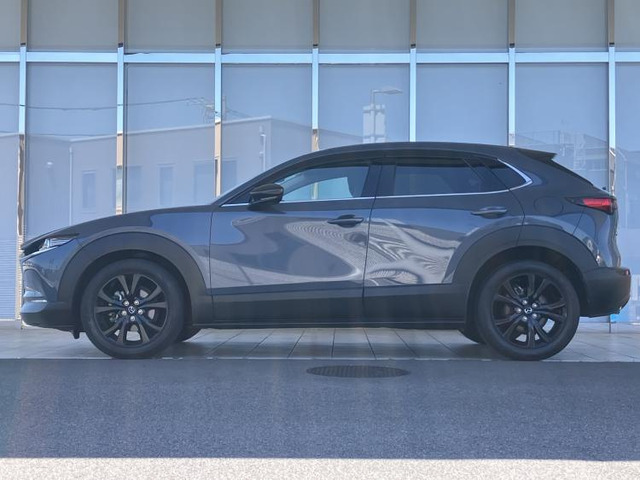 CX-301.8 XD ブラックトーンエディション