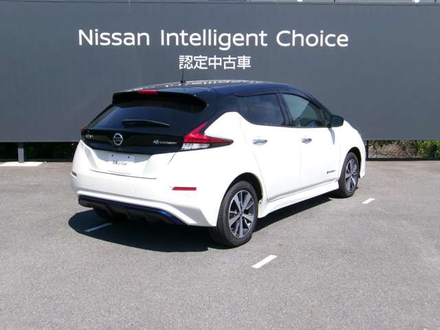 リーフe+ X