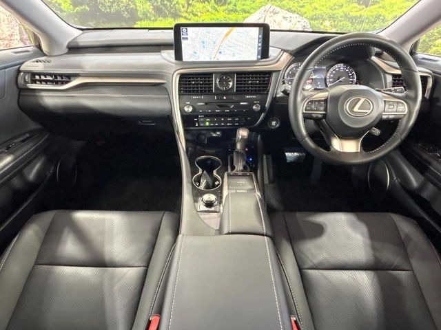 RX300