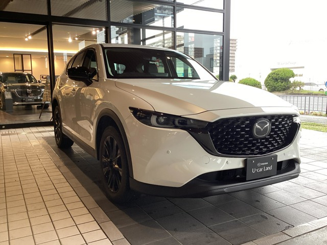 CX-52.0 20S ブラックトーンエディション