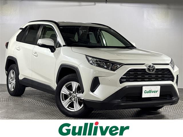 RAV42.0 X