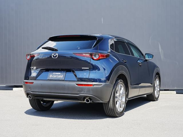 CX-301.8 XD プロアクティブ ツーリングセレクション 4WD