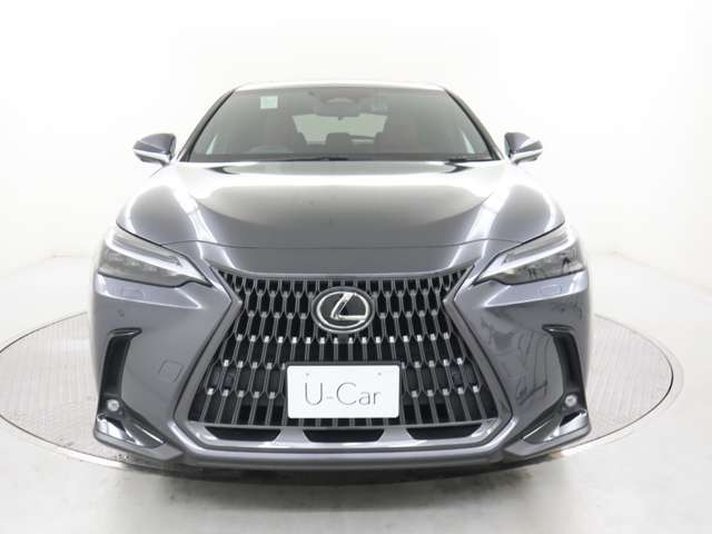 NX350h バージョンL