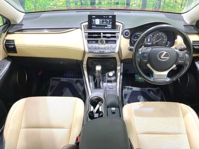 NX300h バージョンL