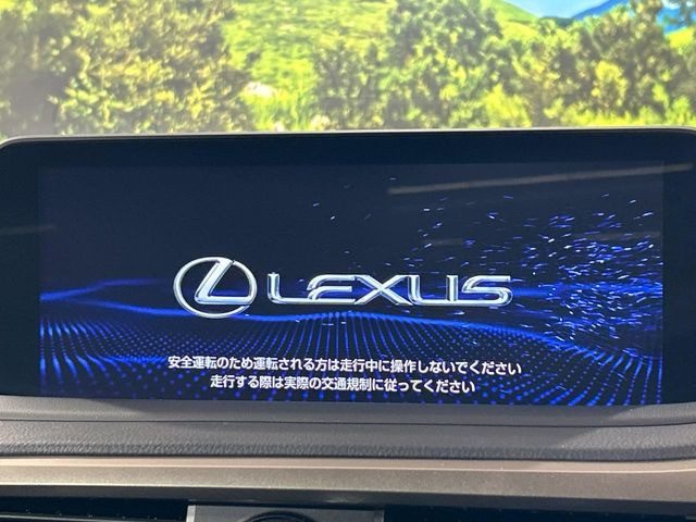 RX300