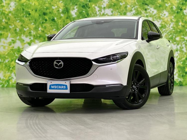 CX-302.0 20S ブラックトーンエディション