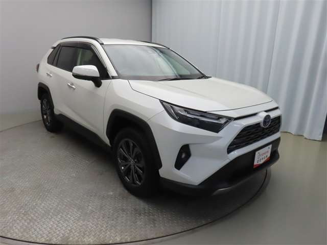 RAV42.5 ハイブリッド G E-Four 4WD