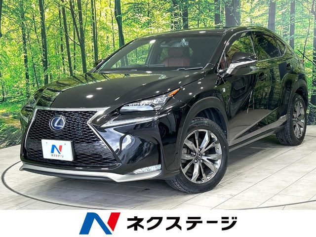 NX300h Fスポーツ