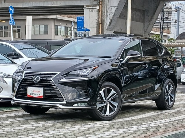 NX300
