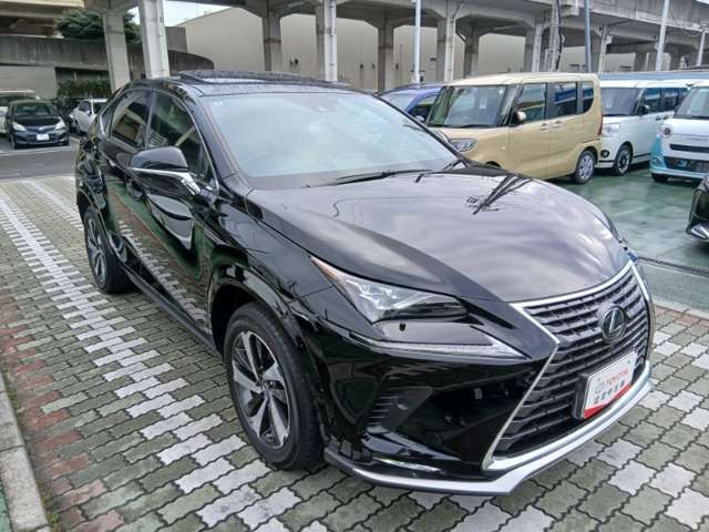 NX300