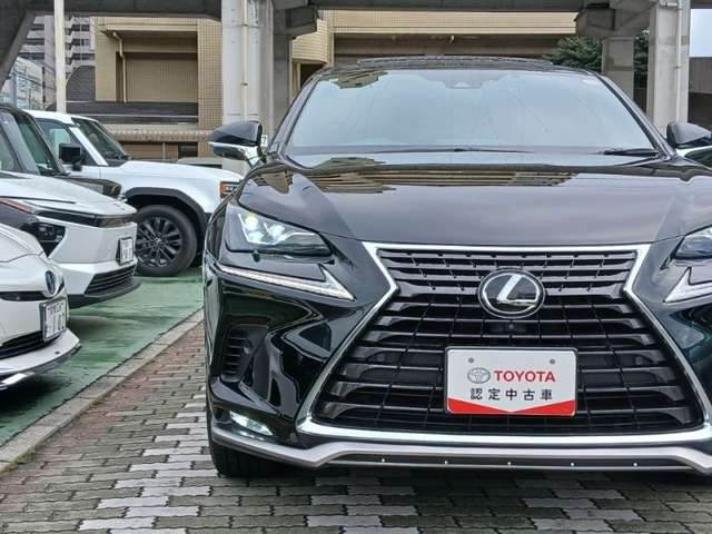 NX300
