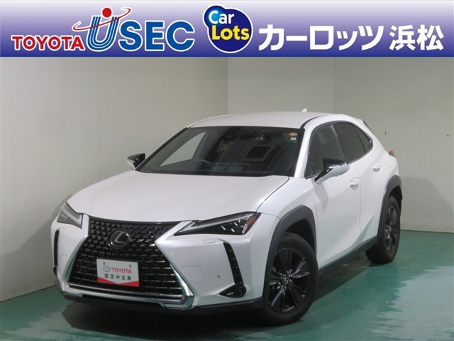 UX250h バージョンC