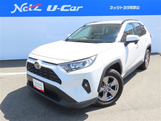 RAV42.0 X