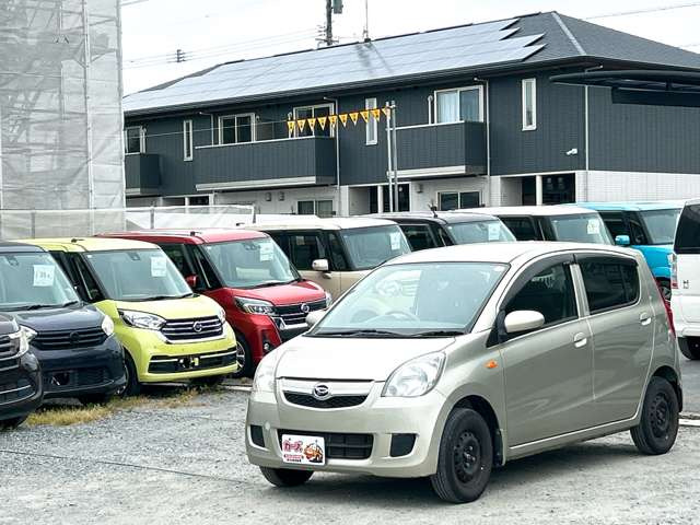 �y39.8���X�J�[�Y�̎��q���������������A���ɂ��肪�Ƃ��������܂��B���������S�s���c1186-7TEL:0942-73-6060�܂ł��⍇����������
