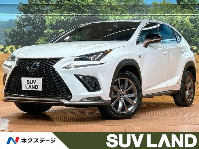 NX300h Fスポーツ
