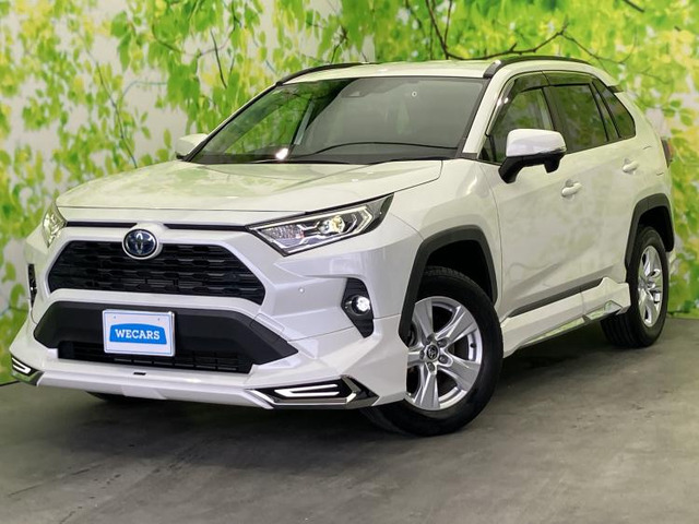RAV42.5 ハイブリッド X