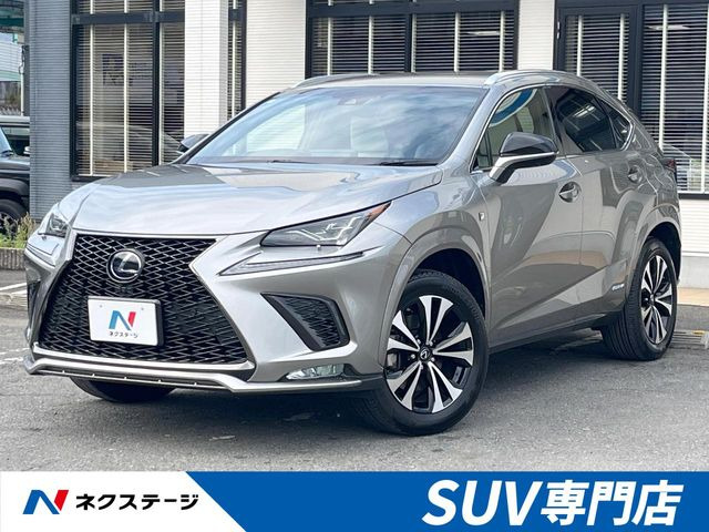 NX300h Fスポーツ